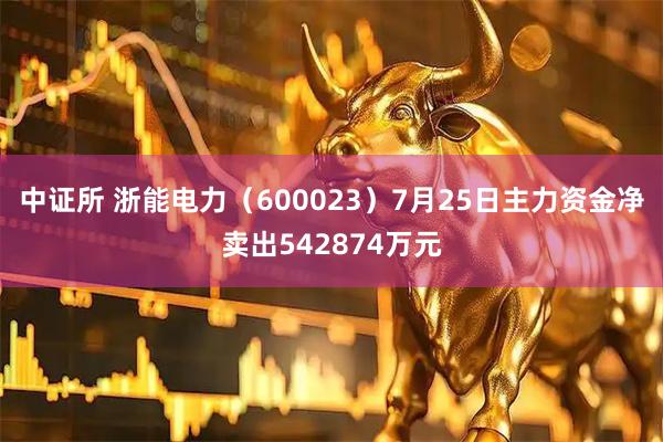 中证所 浙能电力(600023)7月25日主力资金净卖出542874万元
