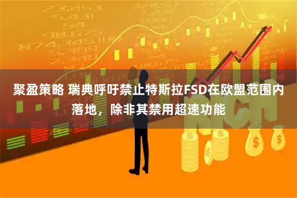 聚盈策略 瑞典呼吁禁止特斯拉FSD在欧盟范围内落地，除非其禁用超速功能