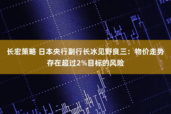 长宏策略 日本央行副行长冰见野良三：物价走势存在超过2%目标的风险